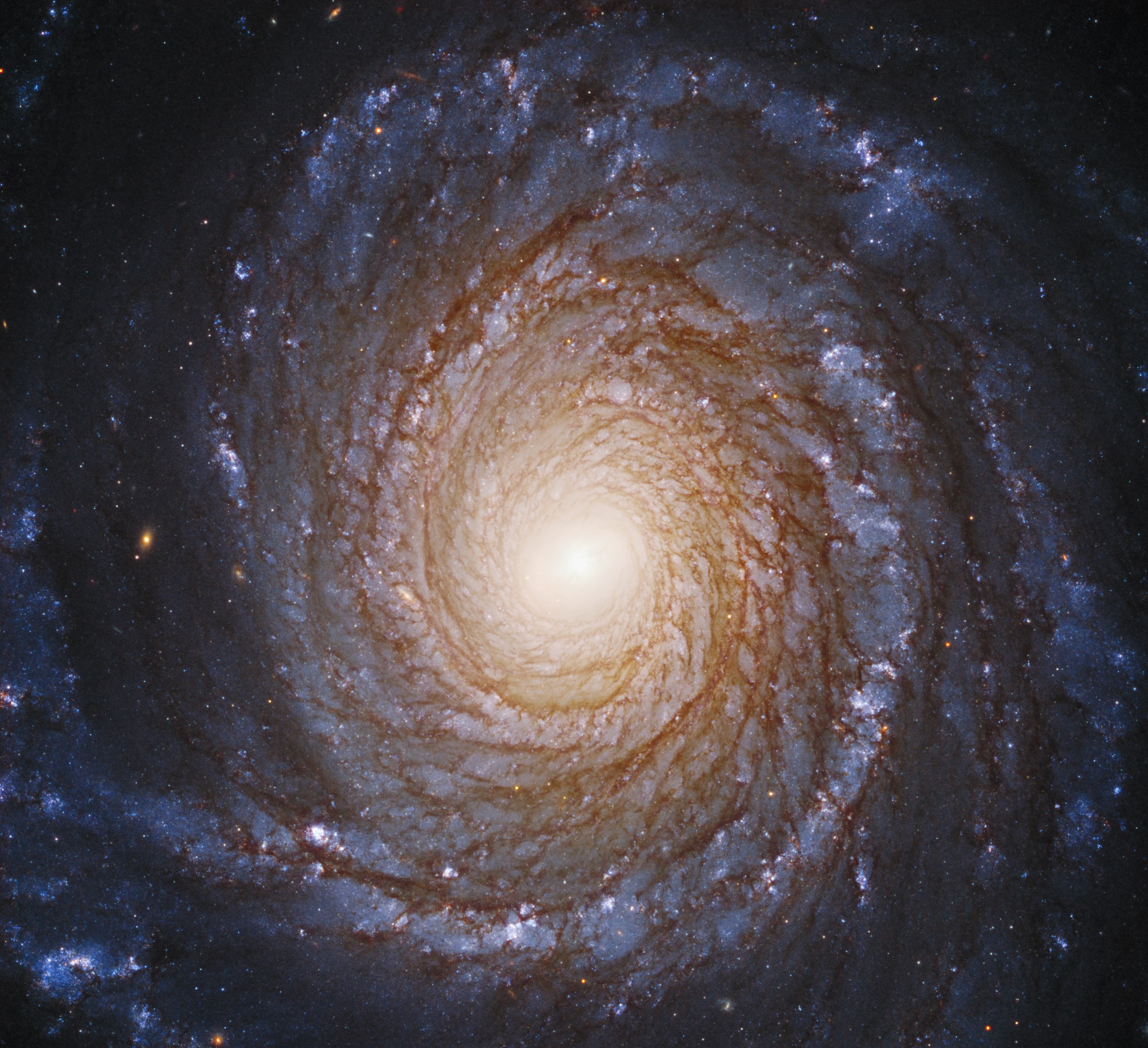 Các cánh tay uốn lượn duyên dáng của thiên hà xoắn ốc hùng vĩ NGC 3147 xuất hiện giống như một cầu thang xoắn ốc lớn quét qua không gian.